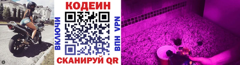 Кодеиновый сироп Lean Purple Drank  Руза 