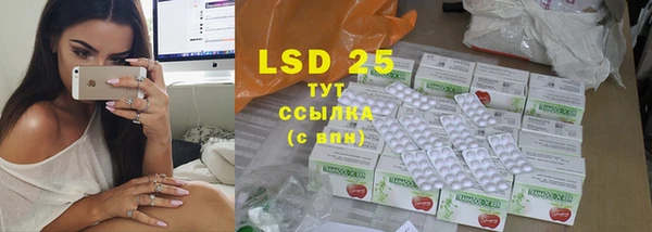 ПСИЛОЦИБИНОВЫЕ ГРИБЫ Арсеньев