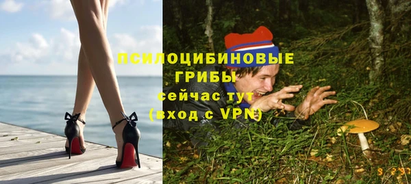a pvp Аркадак