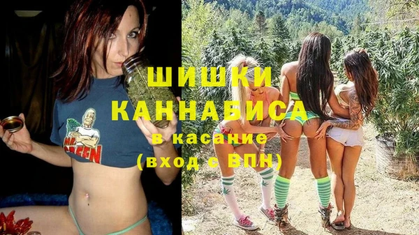 ПСИЛОЦИБИНОВЫЕ ГРИБЫ Арсеньев
