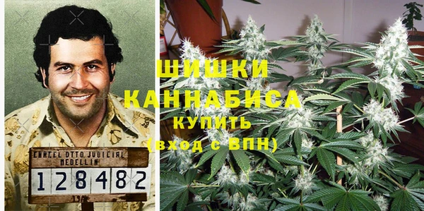 a pvp Аркадак