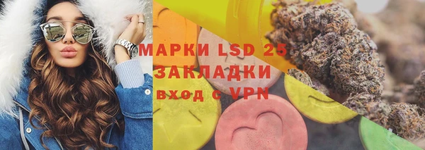 a pvp Аркадак