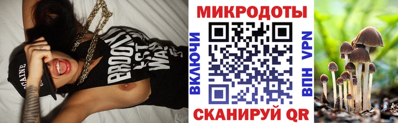 Псилоцибиновые грибы мицелий Руза
