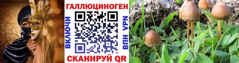 закладки  Руза  Псилоцибиновые грибы мухоморы 